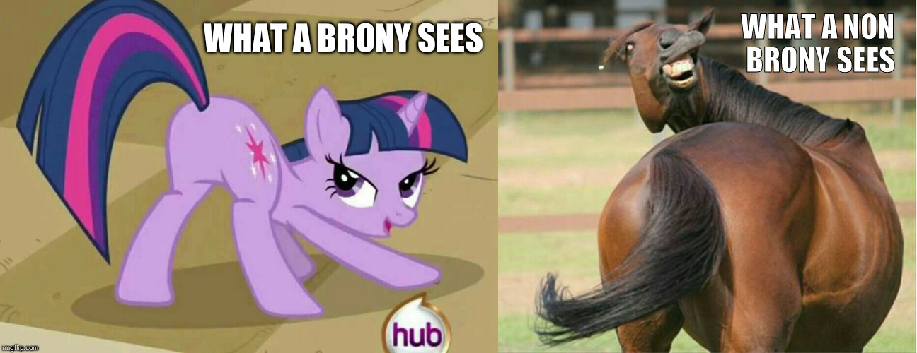 Are horses sexy?  | WHAT A NON BRONY SEES; WHAT A BRONY SEES | image tagged in mlp,funny,twilight sparkle,sexy,horse,brony | made w/ Imgflip meme maker