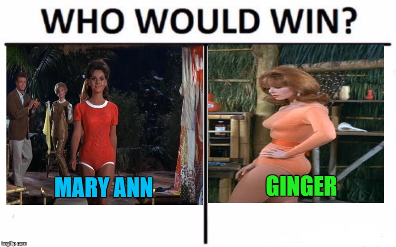 I was all about Mary Ann!!! Gilligan’s Island Week  March 5th-12th A DrSarcasm Event  | MARY ANN; GINGER | image tagged in memes,who would win,gilligans island week,make your choice,gilligan's island,drsarcasm | made w/ Imgflip meme maker
