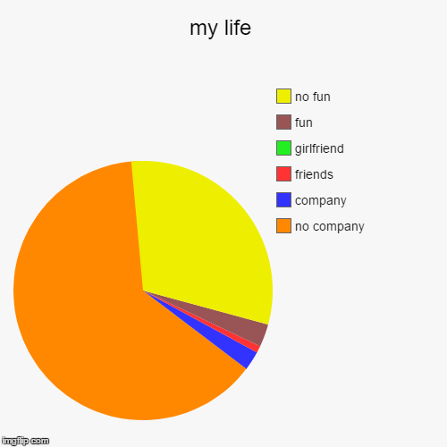 my life | no company , company, friends, girlfriend , fun, no fun | image tagged in funny,pie charts | made w/ Imgflip chart maker