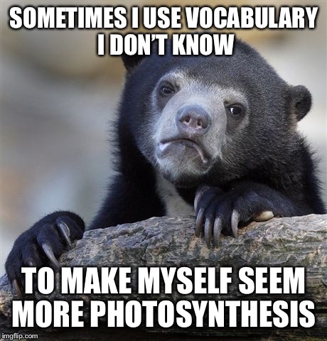 Confession Bear Meme | SOMETIMES I USE VOCABULARY I DON’T KNOW; TO MAKE MYSELF SEEM MORE PHOTOSYNTHESIS | image tagged in memes,confession bear | made w/ Imgflip meme maker