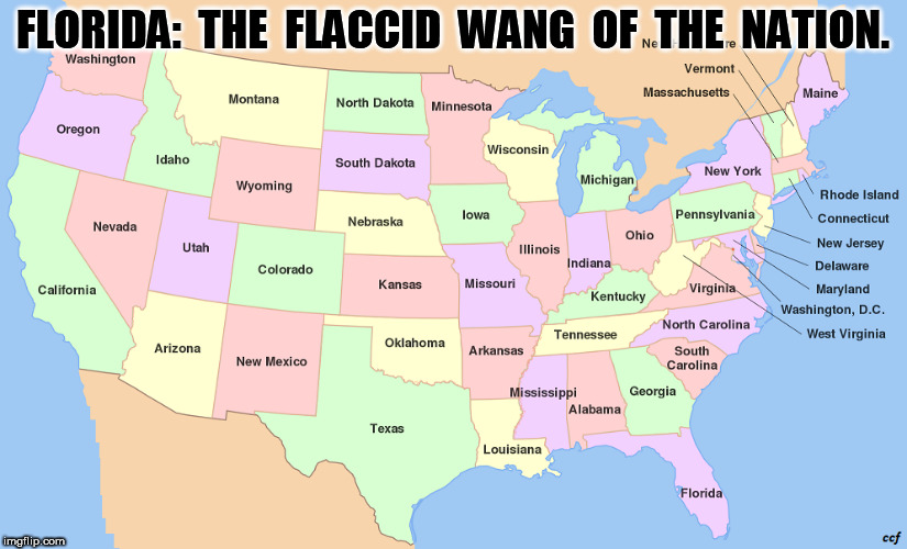 Florida: The Flaccid Wang of The Nation | FLORIDA:  THE  FLACCID  WANG  OF  THE  NATION. | image tagged in florida,flaccid,wang | made w/ Imgflip meme maker