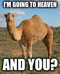 The Camel | I'M GOING TO HEAVEN; AND YOU? | image tagged in heaven,hell | made w/ Imgflip meme maker