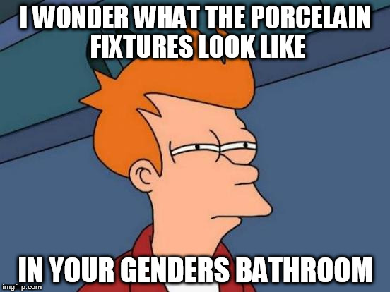 Futurama Fry | I WONDER WHAT THE PORCELAIN FIXTURES LOOK LIKE; IN YOUR GENDERS BATHROOM | image tagged in memes,futurama fry | made w/ Imgflip meme maker