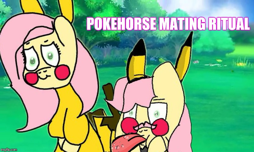 POKEHORSE MATING RITUAL | image tagged in pokehorse mating,shyhorse,licking,my little pony | made w/ Imgflip meme maker