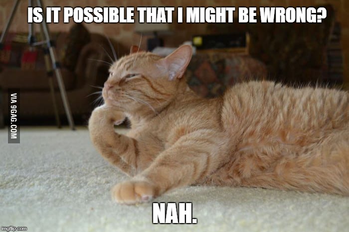 CAT DEBATE | IS IT POSSIBLE THAT I MIGHT BE WRONG? NAH. | image tagged in cat debate | made w/ Imgflip meme maker