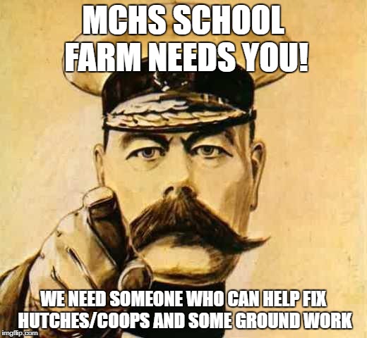 Your Country Needs YOU | MCHS SCHOOL FARM NEEDS YOU! WE NEED SOMEONE WHO CAN HELP FIX HUTCHES/COOPS AND SOME GROUND WORK | image tagged in your country needs you | made w/ Imgflip meme maker