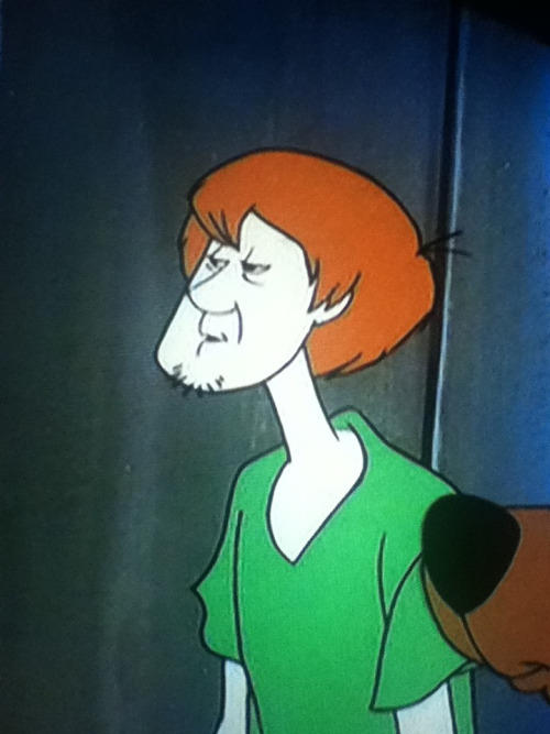 Shaggy Blank Meme Template. 