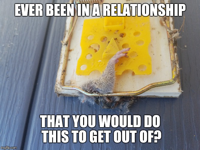 EVER BEEN IN A RELATIONSHIP; THAT YOU WOULD DO THIS TO GET OUT OF? | made w/ Imgflip meme maker