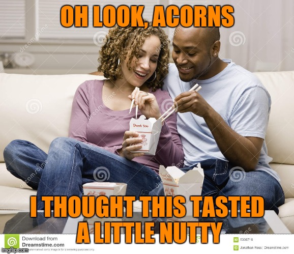 OH LOOK, ACORNS I THOUGHT THIS TASTED A LITTLE NUTTY | made w/ Imgflip meme maker