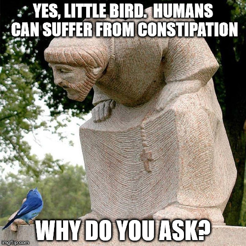 Constipation | YES, LITTLE BIRD.  HUMANS CAN SUFFER FROM CONSTIPATION; WHY DO YOU ASK? | image tagged in francis of assisi,bluebird,constipation | made w/ Imgflip meme maker