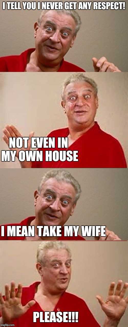 Bad Pun Rodney Dangerfield | I TELL YOU I NEVER GET ANY RESPECT! NOT EVEN IN MY OWN HOUSE; I MEAN TAKE MY WIFE; PLEASE!!! | image tagged in bad pun rodney dangerfield | made w/ Imgflip meme maker