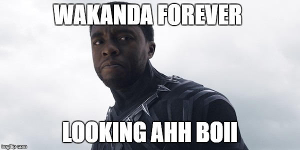 Black Panther | WAKANDA FOREVER; LOOKING AHH BOII | image tagged in black panther | made w/ Imgflip meme maker