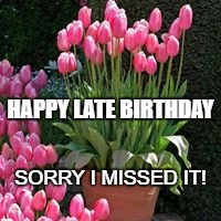 OOPS!  - I Missed It!  | HAPPY LATE BIRTHDAY; SORRY I MISSED IT! | image tagged in late birthday,tulips,sorry | made w/ Imgflip meme maker