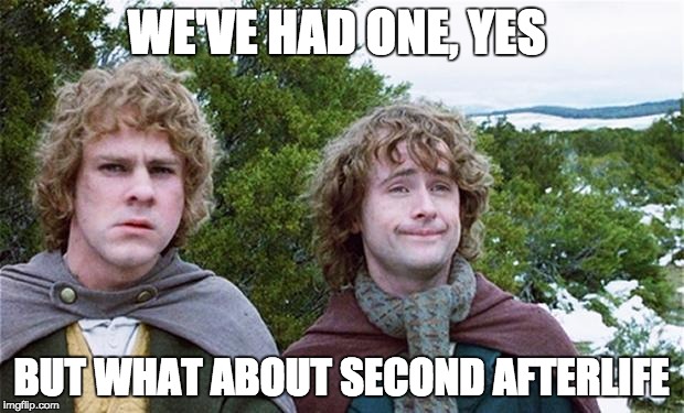 WE'VE HAD ONE, YES; BUT WHAT ABOUT SECOND AFTERLIFE | image tagged in lotr,afterlife,religion | made w/ Imgflip meme maker