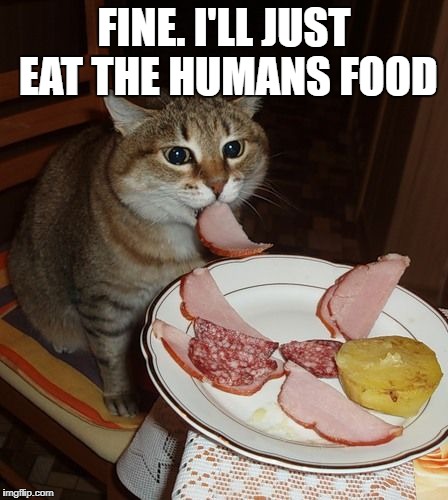 FINE. I'LL JUST EAT THE HUMANS FOOD | made w/ Imgflip meme maker