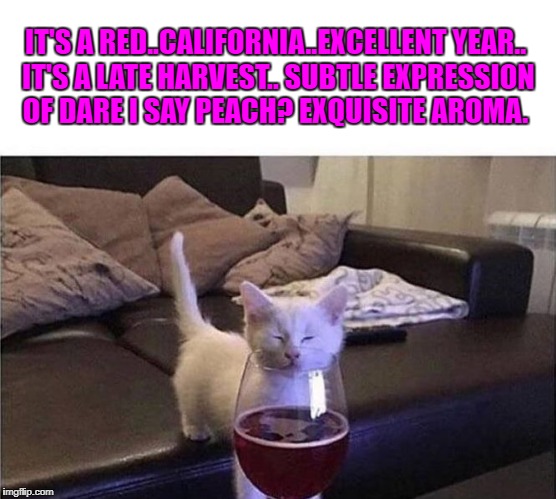 It's a Red..California..excellant year.. it's a late harvest.. subtle expression of dare i say peach? Exquisite aroma. |  IT'S A RED..CALIFORNIA..EXCELLENT YEAR.. IT'S A LATE HARVEST.. SUBTLE EXPRESSION OF DARE I SAY PEACH? EXQUISITE AROMA. | image tagged in wine drinker,kitten | made w/ Imgflip meme maker