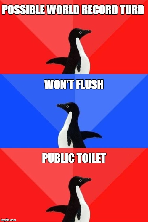 Socially Awesome Awkward Awesome Penguin | POSSIBLE WORLD RECORD TURD; WON'T FLUSH; PUBLIC TOILET | image tagged in socially awesome awkward awesome penguin | made w/ Imgflip meme maker