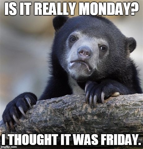 Confession Bear Meme | IS IT REALLY MONDAY? I THOUGHT IT WAS FRIDAY. | image tagged in memes,confession bear | made w/ Imgflip meme maker