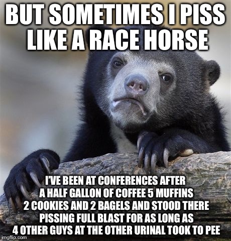 Confession Bear Meme | BUT SOMETIMES I PISS LIKE A RACE HORSE I’VE BEEN AT CONFERENCES AFTER A HALF GALLON OF COFFEE 5 MUFFINS 2 COOKIES AND 2 BAGELS AND STOOD THE | image tagged in memes,confession bear | made w/ Imgflip meme maker