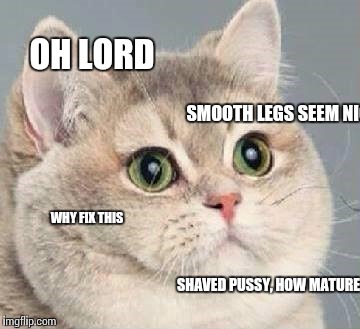 cate (such cat) | OH LORD SMOOTH LEGS SEEM NICE WHY FIX THIS SHAVED PUSSY, HOW MATURE | image tagged in cate such cat | made w/ Imgflip meme maker