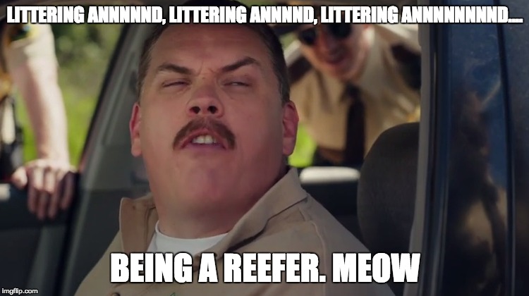 LITTERING ANNNNND, LITTERING ANNNND, LITTERING ANNNNNNNND.... BEING A REEFER. MEOW | made w/ Imgflip meme maker