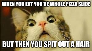 Funny animals | WHEN YOU EAT YOU'RE WHOLE PIZZA SLICE; BUT THEN YOU SPIT OUT A HAIR | image tagged in funny animals | made w/ Imgflip meme maker