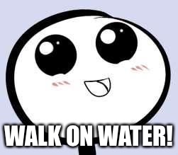 just cute | WALK ON WATER! | image tagged in just cute | made w/ Imgflip meme maker