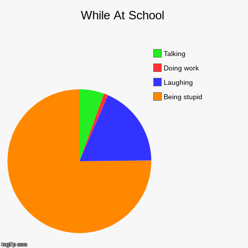 While At School | Being stupid, Laughing, Doing work , Talking | image tagged in funny,pie charts | made w/ Imgflip chart maker