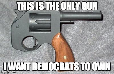 THIS IS THE ONLY GUN; I WANT DEMOCRATS TO OWN | image tagged in reverse gun | made w/ Imgflip meme maker