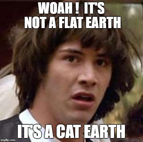 WOAH !  IT'S NOT A FLAT EARTH IT'S A CAT EARTH | made w/ Imgflip meme maker
