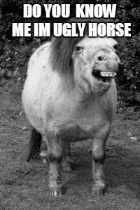 ugly horse | DO YOU  KNOW ME IM UGLY HORSE | image tagged in ugly horse | made w/ Imgflip meme maker