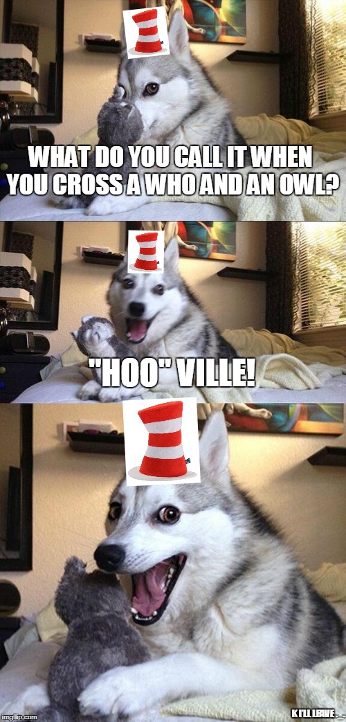 You've gotta be a Dr. Seuss fan to understand this. | WHAT DO YOU CALL IT WHEN YOU CROSS A WHO AND AN OWL? "HOO" VILLE! K I'LL LEAVE ._. | image tagged in memes,bad pun dog,dr seuss | made w/ Imgflip meme maker
