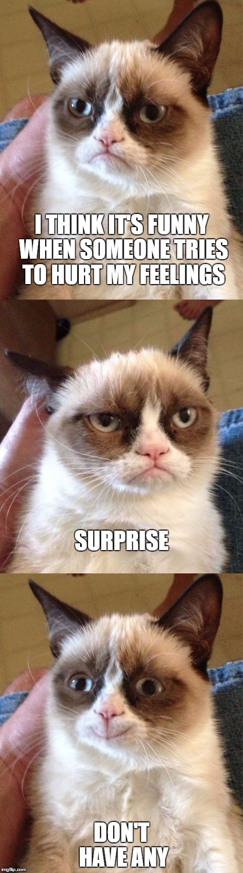Bad Pun Grumpy Cat | I THINK IT'S FUNNY WHEN SOMEONE TRIES TO HURT MY FEELINGS; SURPRISE; DON'T HAVE ANY | image tagged in bad pun grumpy cat,random | made w/ Imgflip meme maker