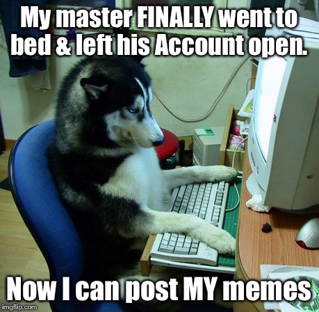 Dog’s Meme makes Front Page | My master FINALLY went to bed & left his Account open. Now I can post MY memes | image tagged in memes,i have no idea what i am doing,dog meme,front page,calm down | made w/ Imgflip meme maker