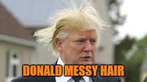 DONALD MESSY HAIR | made w/ Imgflip meme maker