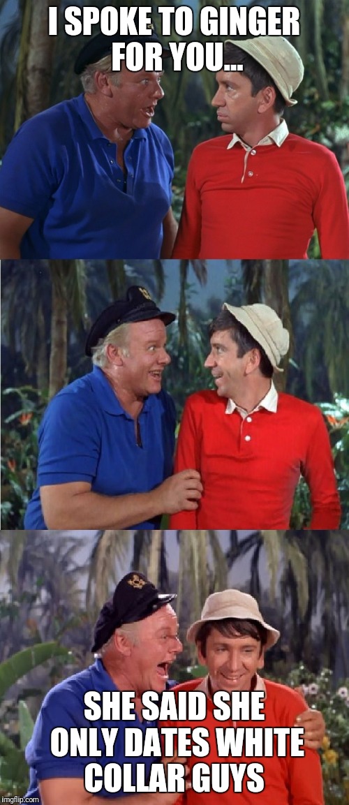 Gilligan Bad Pun | I SPOKE TO GINGER FOR YOU... SHE SAID SHE ONLY DATES WHITE COLLAR GUYS | image tagged in gilligan bad pun | made w/ Imgflip meme maker