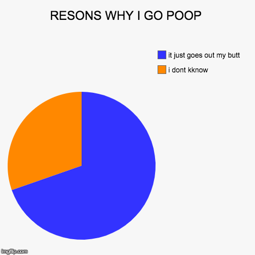 RESONS WHY I GO POOP | i dont kknow, it just goes out my butt | image tagged in funny,pie charts | made w/ Imgflip chart maker