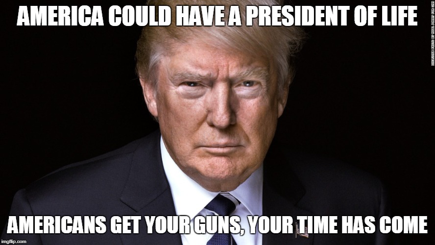 Defend the constitution, get your guns now! | AMERICA COULD HAVE A PRESIDENT OF LIFE; AMERICANS GET YOUR GUNS, YOUR TIME HAS COME | image tagged in guns,trump,the constitution,american revolution | made w/ Imgflip meme maker