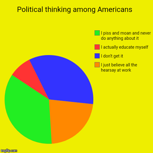Political thinking among Americans  | I just believe all the hearsay at work , I don't get it, I actually educate myself , I piss and moan a | image tagged in funny,pie charts,politics lol,lol so funny,stupid people | made w/ Imgflip chart maker