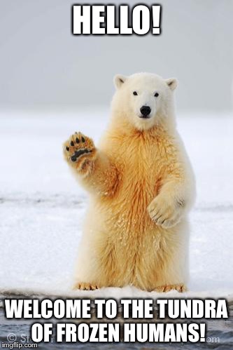 hello polar bear | HELLO! WELCOME TO THE TUNDRA OF FROZEN HUMANS! | image tagged in hello polar bear | made w/ Imgflip meme maker