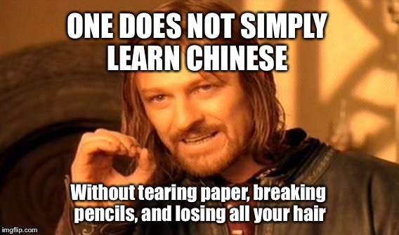 Chinese Chinese Chinese Chinese Chinese  | ONE DOES NOT SIMPLY LEARN CHINESE; Without tearing paper, breaking pencils, and losing all your hair | image tagged in memes,one does not simply,chinese,hard,language | made w/ Imgflip meme maker