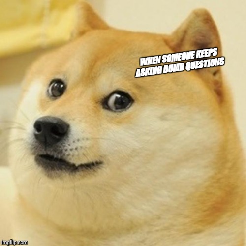 Doge Meme | WHEN SOMEONE KEEPS ASKING DUMB QUESTIONS | image tagged in memes,doge | made w/ Imgflip meme maker