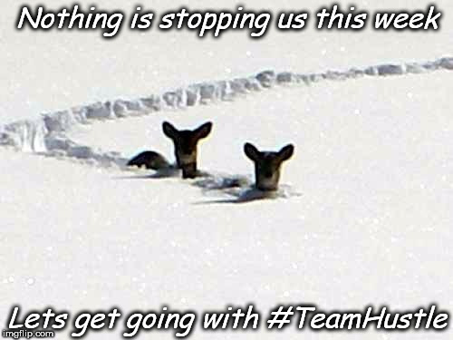 Snow Hustle | Nothing is stopping us this week; Lets get going with #TeamHustle | image tagged in snow,hustle,teamwork | made w/ Imgflip meme maker