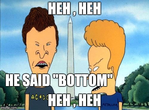 HE SAID "BOTTOM" | image tagged in beavis and butthead | made w/ Imgflip meme maker