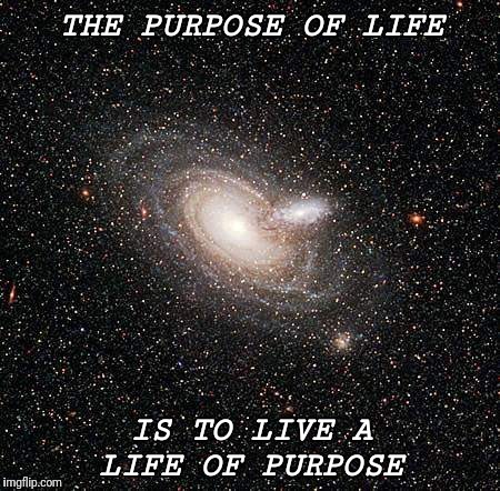 Life of Purpose | THE PURPOSE OF LIFE; IS TO LIVE A LIFE OF PURPOSE | image tagged in motivational,inspirational | made w/ Imgflip meme maker