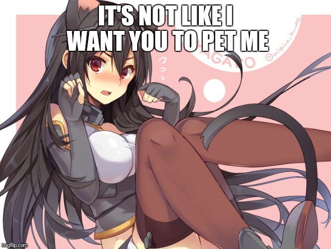 Tsundere Catgirl | IT'S NOT LIKE I WANT YOU TO PET ME | image tagged in tsundere catgirl | made w/ Imgflip meme maker