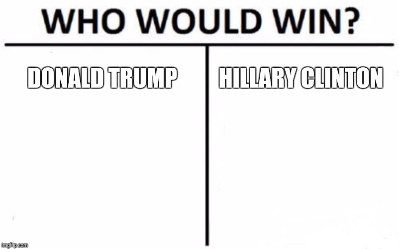 Who Would Win? | DONALD TRUMP; HILLARY CLINTON | image tagged in memes,who would win | made w/ Imgflip meme maker