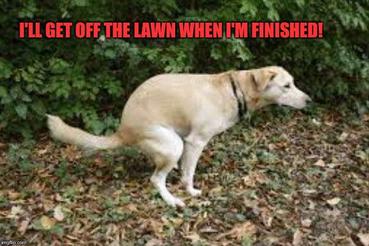 I'LL GET OFF THE LAWN WHEN I'M FINISHED! | made w/ Imgflip meme maker