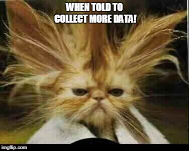  WHEN TOLD TO COLLECT MORE DATA! | image tagged in cat stressed | made w/ Imgflip meme maker