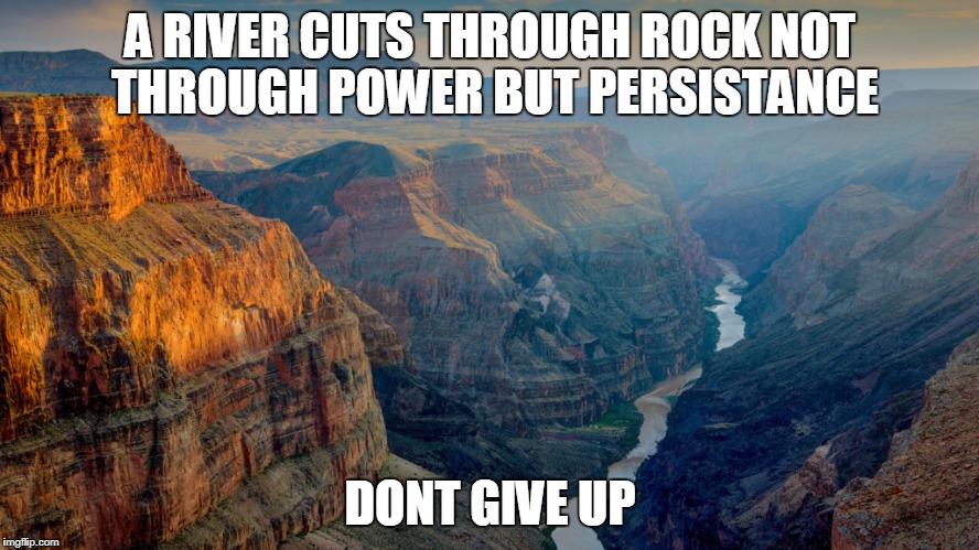 Persistance | A RIVER CUTS THROUGH ROCK NOT THROUGH POWER BUT PERSISTANCE; DONT GIVE UP | image tagged in memes | made w/ Imgflip meme maker